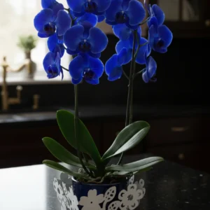 beyaz ferforje çiçeklik (2)